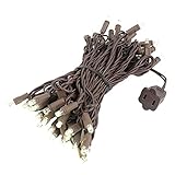 Novelty Lights 50 Light LED Christmas Mini Light Set, Outdoor Lighting Party Patio String Lights, Warm White, Brown Wire, 25 Feet