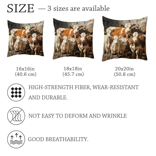 Fundas de cojín 50x50 terciopelo suave decorativas para almohada de sofá 7
