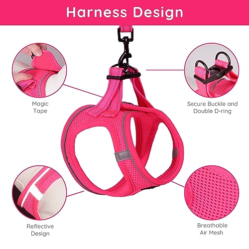 BELLA & PAL Dog Harness and Leash Set, Step-in Puppy Harness, Breathable Air Mesh with Reflective Strips - Image 3