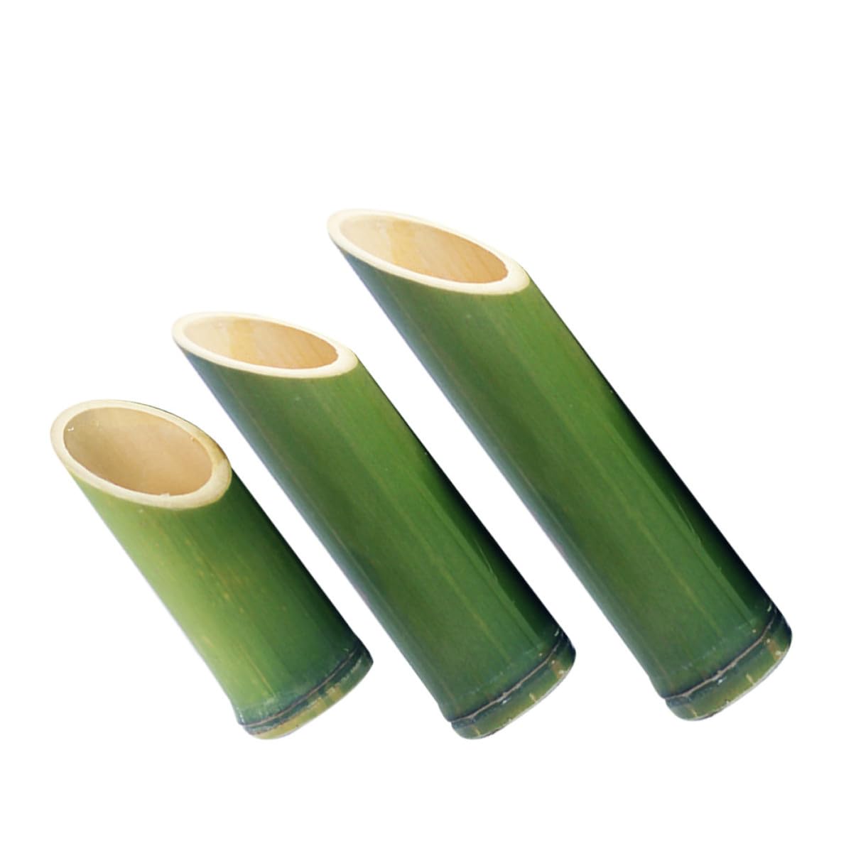 Lot de 3 vases en bambou vert CRAFTHROU pour décoration florale