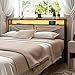 Halitaa Queen Bed Frame Headboard, Platform Bed with Storage & LED Light, Headboard with 2 Outlets USB and Type C Port, Farmhouse Bed, Attach Frame, Easy to Assembly, Wash Grey