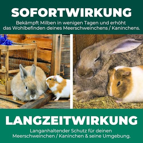 Silberkraft Milbenspray Meerschweinchen, Kaninchen & Kleintiere 2 L, zuverlässiger Milbenschutz, nützliche Parasitenabwehr, effizientes und garantiert hilfreiches Anti-Milben-Mittel