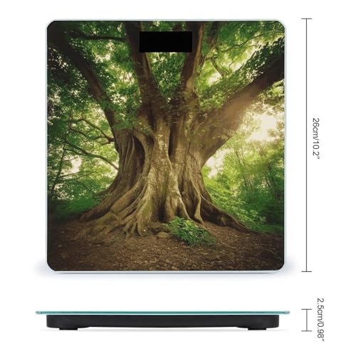 Báscula digital de baño con plataforma de vidrio templado miniatura 2