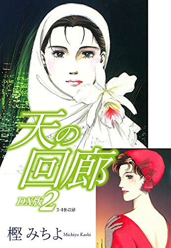 天の回廊 DX版(2) (ゴマブックス×ナンバーナイン)