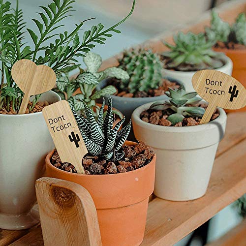 Pot Had Mini Pot De Fleurs Amusant En Céramique Avec Drainage Et Plateau En Bambou, Pot De Cactus, Mini Pots Pour Plantes Grasses, Cadeau De Pendaison De Crémaillère Pour Femme, Amie, Collègue