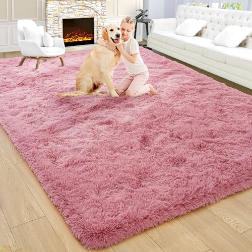 Noahas Fluffy 6x9 Area Rugs for Living Room,Shaggy Blush Rugs for Bedroom Girls,Thick Shag Throw Carpet,Soft Non-Slip Dorm Nursery Kids Rug Home Decor Aesthetic