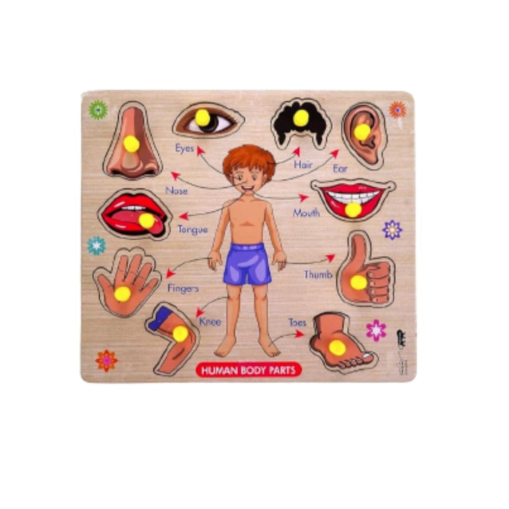 Wooden Learning Wooden Puzzle Wooden Toys for Kids 3 + Jigsaw Puzzles for Adults Baby Learning Toys Educational Toys(Body Parts Small) (B0CMM1L21S) Amazon Price History, Amazon Price Tracker