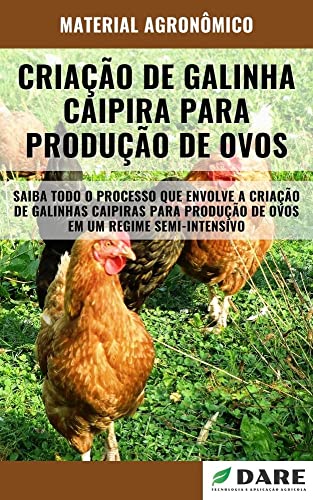 CRIAÇÃO DE GALINHA CAIPIRA PARA PRODUÇÃO DE OVOS