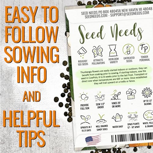 Image of Seed Needs Black-Eyed Susan Vine Seeds for Planting Thunbergia 5 Packs
