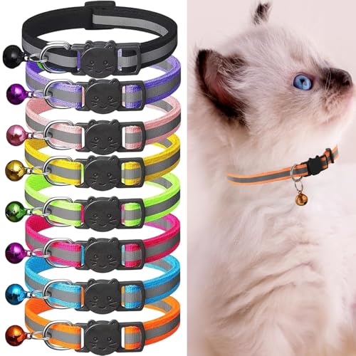 8 Stück reflektierende Katzenhalsband Pack mit Glocke, Kätzchen Halsband Sicherheit Schnellspanner Schnalle, mit Namensschild, einstellbar für...