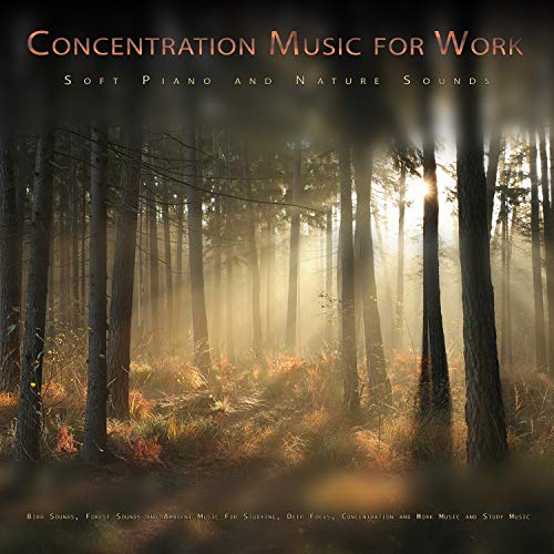 Concentration Music for Work: Soft Piano and Nature Sounds, Bird