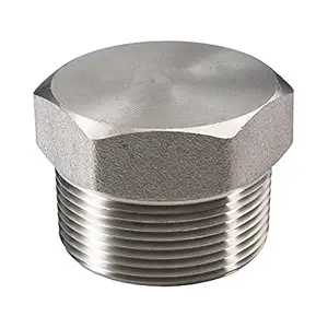 Stainless Steel 316 Pipe Fitting, Hex Head Plug, 1' BSPT Male, Pack of 50 pcs