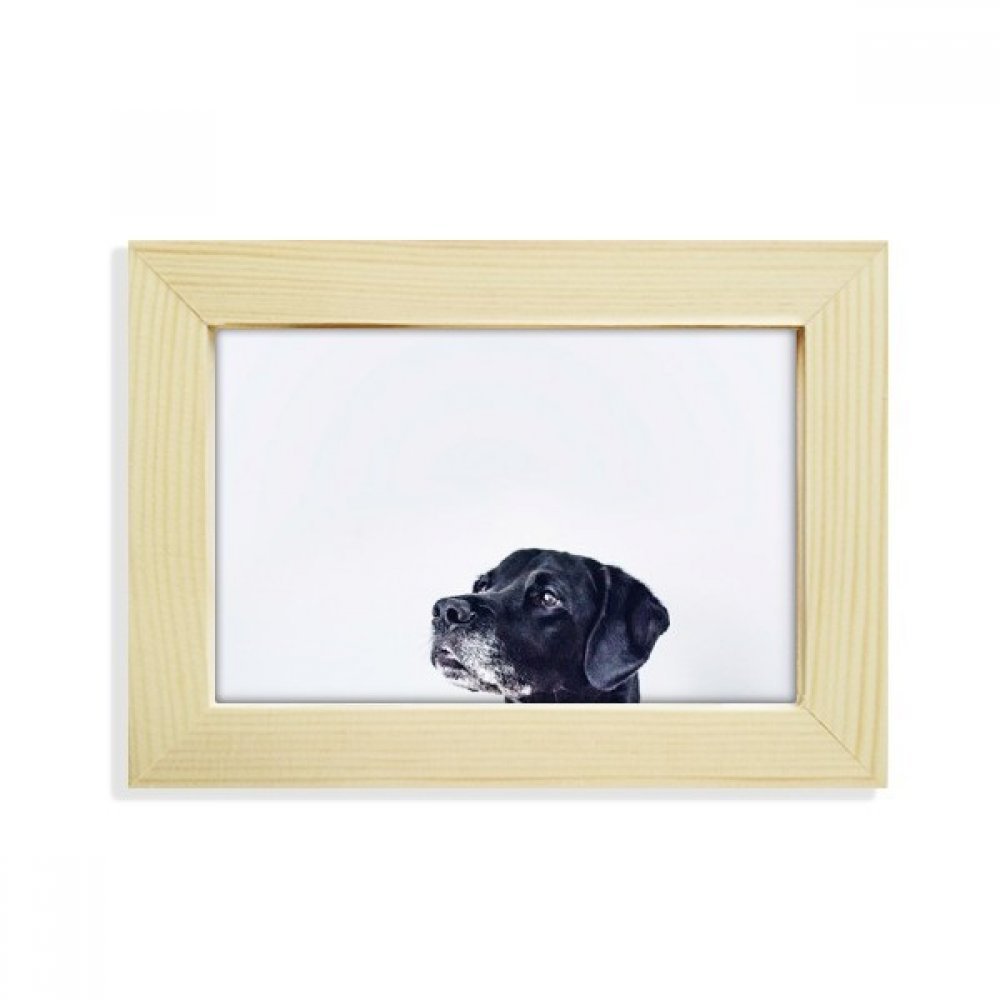 Portafotos de madera de alta calidad con pintura artística de perro blanco