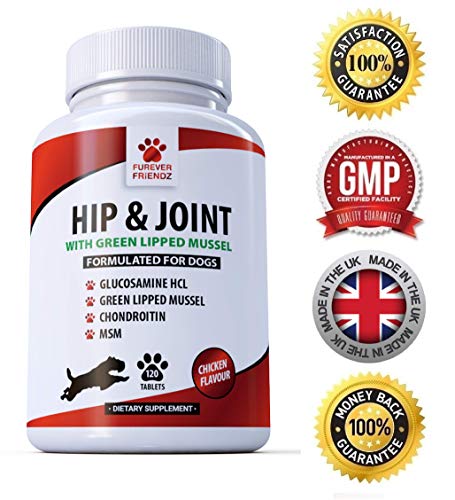 Advanced Hip and Joint Support for Dogs - Glucosamine, Chondroitin, MSM & Green Lipped Mussel & Vitamin C - Canine 120 Chicken Flavoured Tablets - Chewable Supplements  Furever Friendz