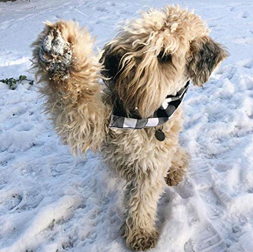 Diyafas 4pcs Klassisches Kariertes Hundehalstuch Baumwoll Bandana Welpen Halstuch Haustier Dreieck Schal für Kleine Mittlere und Große Hunde Katzen