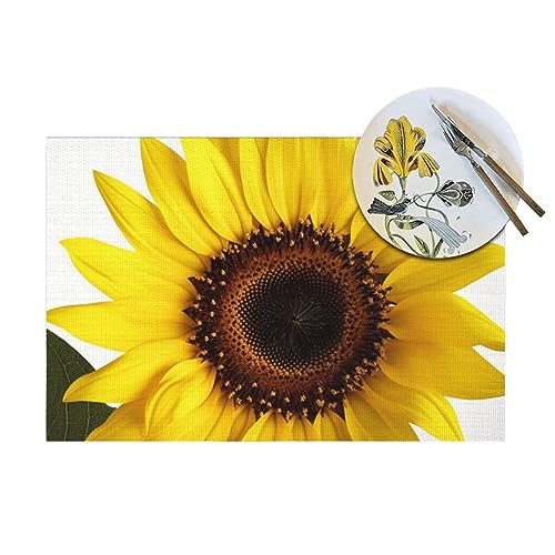 Sets de table antidérapants en PVC lavable pour protéger votre table basse de la chaleur en lot de 6