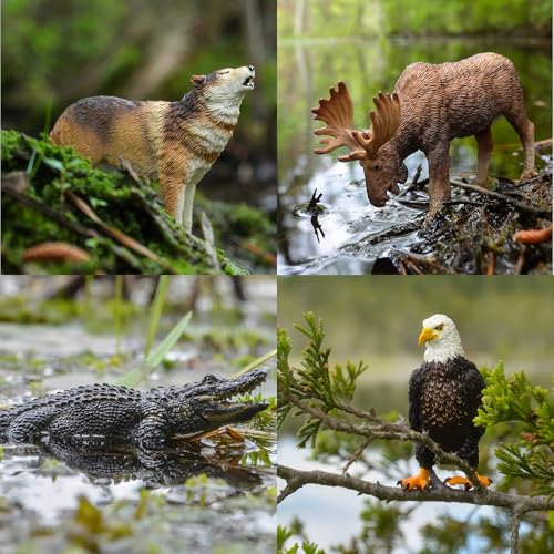 Toymany 12PCS North American Forest Animal Figurines, Realistic Jungle Zoo Animal Set Includes Moose,Cougar,Wolf,Bear,Eagle,Deer Educational Toy Cake Toppers Christmas Birthday Gift for Toddlers