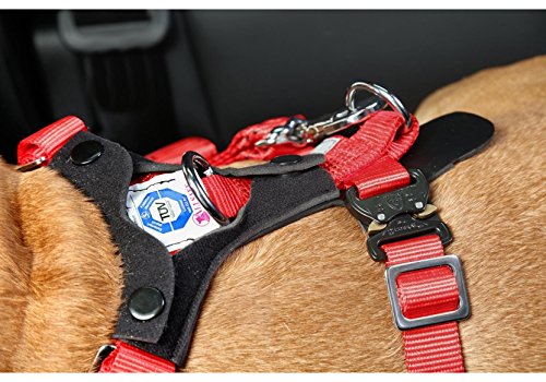 Hundesicherheitsgurte Allsafe Comfort Gr. L