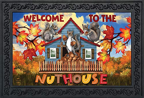 Briarwood Lane Doormat 30x18 Indoor Outdoor Nut House Fall for Fall Doormat