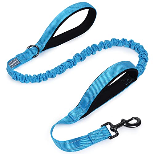 VIVAGLORY Hundeleine Pullsafe Bungee Leine Hund, Führleine Hundeleine mit Doppelgriff & Zwei Griffen für Hausleine Joggingleine, Bungee & Stark Ziehende für Hunde, 120 x 2.5cm, Blau