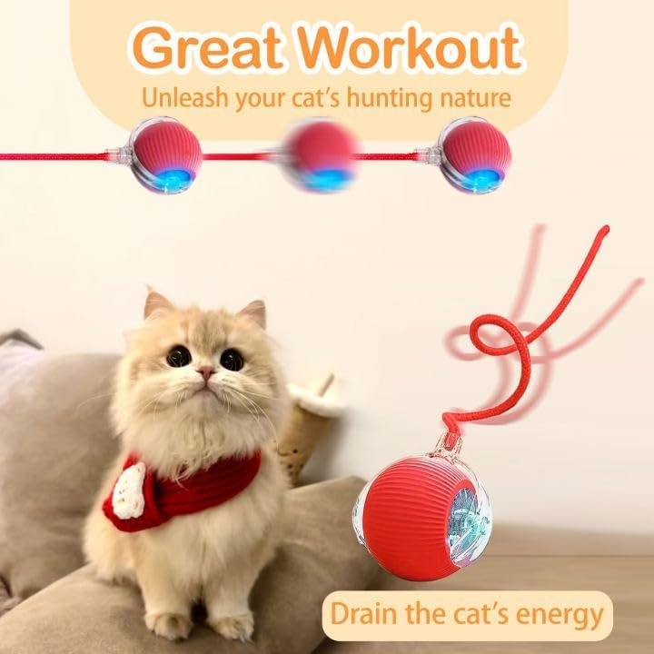 Image of Interactive Cat Toy - Cat Toys for Indoor Cats Smart Silicone Rolling Ball with Tail,Bird Sound, Motion Activated,Kitten Puzzle Toys for Bored Indoor Adult Cats & Dogs (1-Pcs )