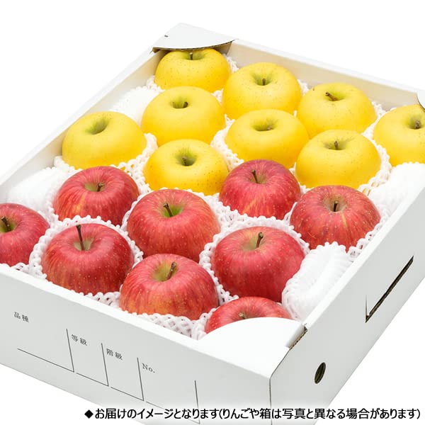 Amazon.co.jp: 山形県産 りんご サンふじ＆シナノゴールド 詰め合わせ