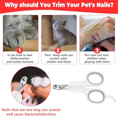 EnixwH 2 Coupe Griffes Chat, Coupe Ongle Chat pour Les Professionnels, Animal De Compagnie Soins des Coupe Griffe Chat Ongle pour Les Chats, Chiens, Lapins, des Oiseaux Et Petits Animaux – Image 6