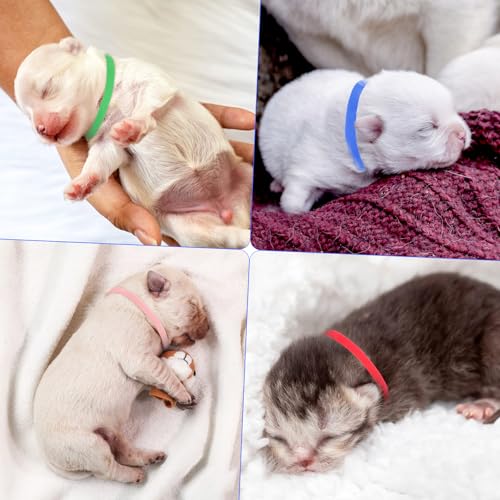 Image of 60-Pack Elastic Puppy Collars for Litter, Adjustable Puppy Litter Collars Colored Identification Soft Bands 4 Inch ID Cords Whelping Cords for Newborn Pets Kittens