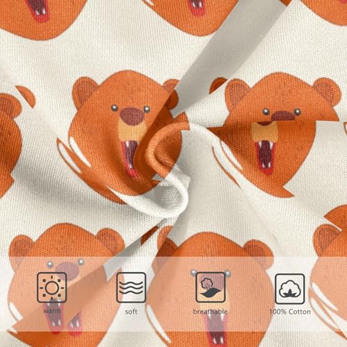 Cute Bear Toddler Boy's Underwear 2T 23022253