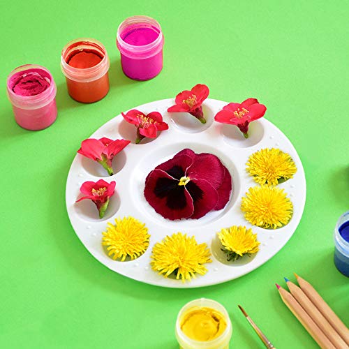 Haneye Paint Tray Palettes 15 Pcs, Round Plastic Pallets for Kid, Adult, Student Acrylic Oil Watercolor Craft Professional DIY Art Painting