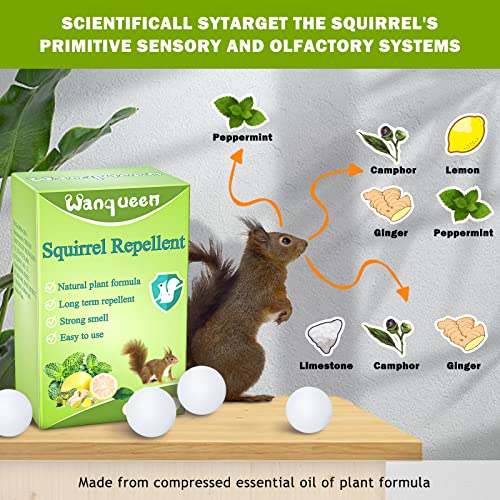 Wanqueen 10 Pack Squirrel Repellent thumb #1
