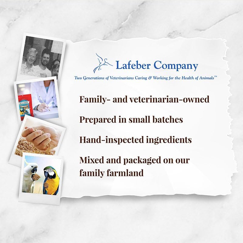 Miniatura 7 de LAFEBER'S Classic Avi-Cakes - Alimento para pájaros para mascotas, fabricado con ingredientes no transgénicos y de grado humano, para guacamayos y