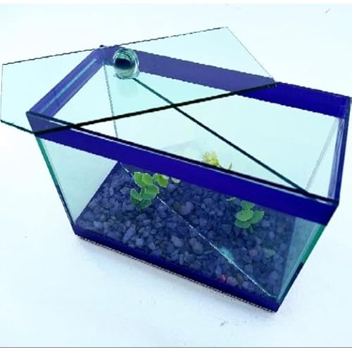 Aquário 20x10x15cm duplo invisível 2 peixes 3 litros decorado c/plantas artificiais pedras coloridas