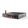 SMSL a300 Digital Power Amplifier BTL Mode Hi-Res Bluetooth 5.0 Remote Control 165 Wx2(4Ω)/85Wx2(8Ω) for Passive Speakers/Outdoor Active Bass Subwoofer (Black)