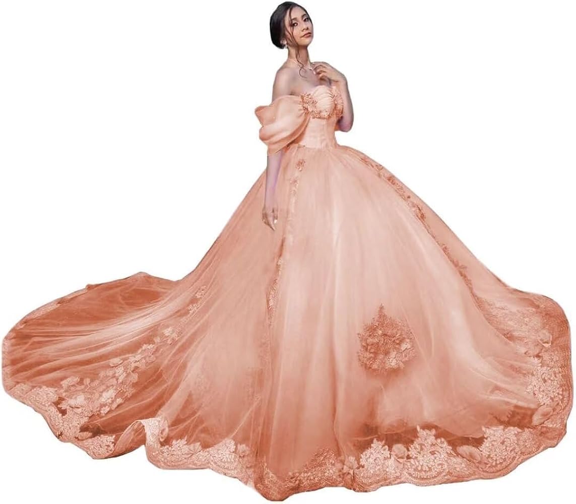 Yifanier Cute Off-the-Shoulder Quinceanera Dresses Ball Gown Lace Dress  with Train Puffy Princess Dresses for 15 16, Blush pink : Amazon.de: Fashion