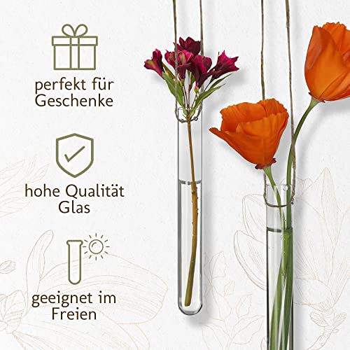 12 reageerbuizen voor het ophangen van bloemen, reageerbuisjes met gat om op te hangen, raamdecoratie, hangend, bruiloftsdecoratie, tulpenvaas, glas, bloemenvazen, hangvaas glas (15 cm) - Afbeelding 6
