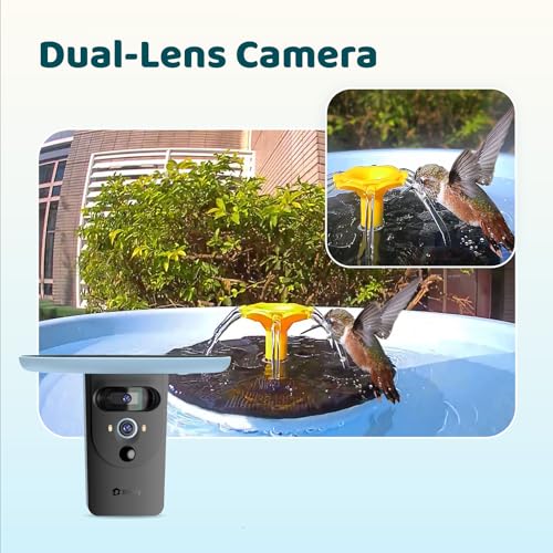 Birdfy Smart Bird Bath with Camera Solar Powered & Fountain & Stand, Dual-Lens Camera for Wildbird Watching, Auto Capture Bird Videos & Motion Detection - AI Lifetime Version