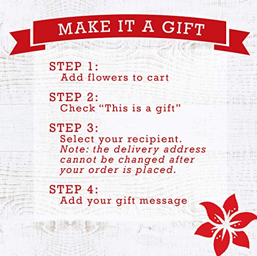 Stargazer Barn- Fresh Orange Tulips -California Grown shipped overnight