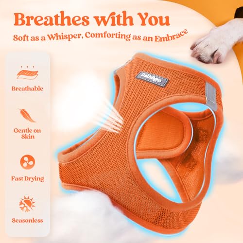 Image of rabbitgoo Dog Harness Medium Sized and Leash Set, Step-in Puppy Pet Vest