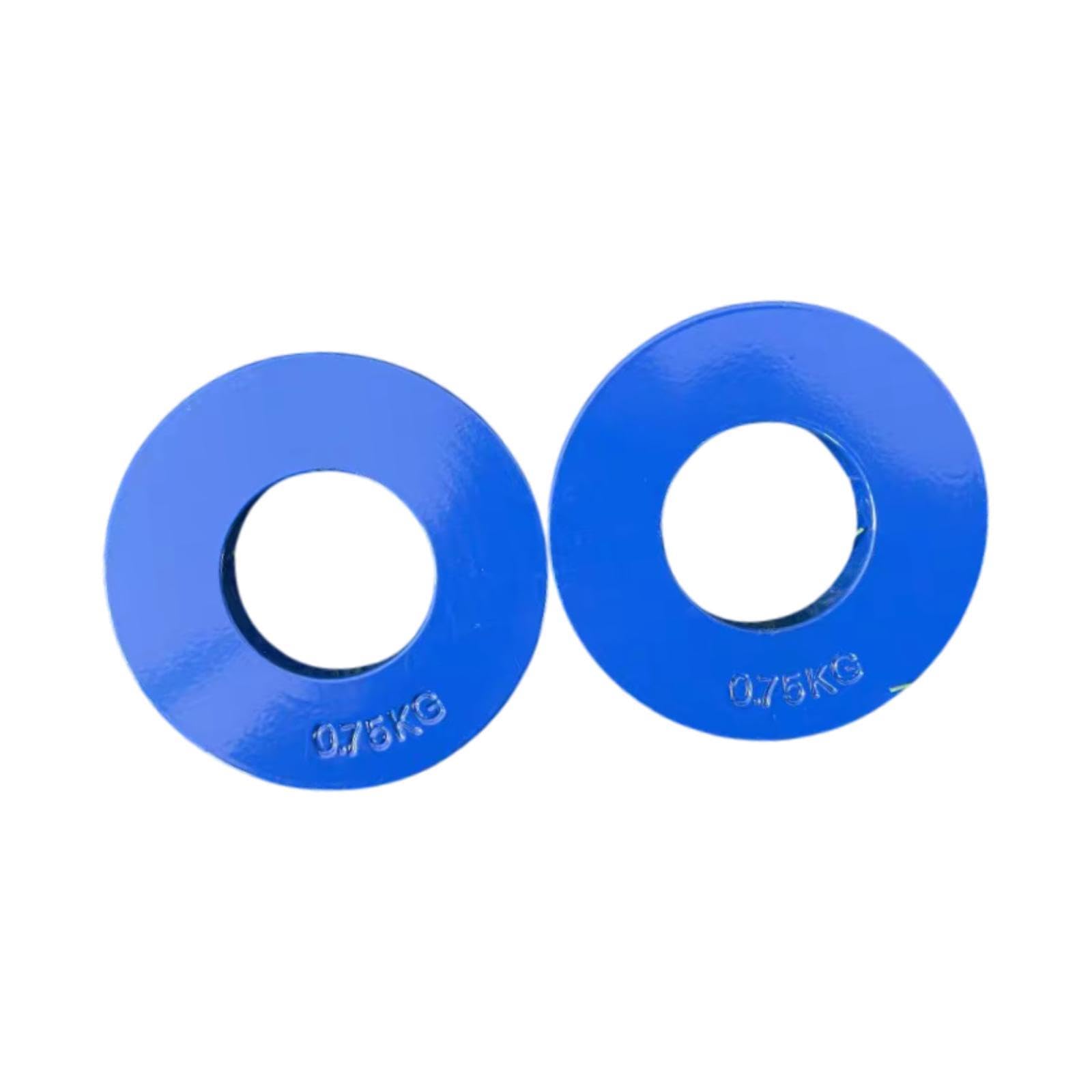 Colaxi 2Pcs Steel Fractional Weight Plates Add-on Change Weight Plate Portable Barbell Weights for Micro Loading Fitness Enthusiasts, Blue, 0.75kg