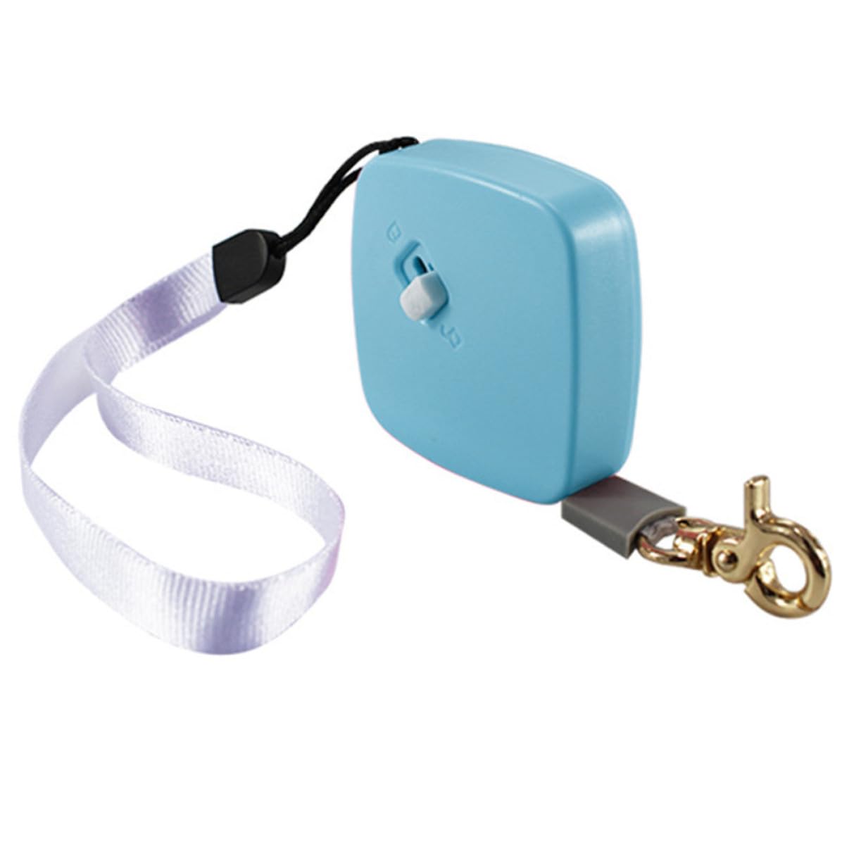 Ausziehbare Hundeleine für Kleine Hunde Tragbare Kleiner Hundeleine aus Nylon mit 2 Meter Länge für Outdoor Spaziergänge