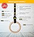 Double Circle Gymnastics Rings with Quick Adjust Numbered Straps and Exercise Videos Guide - Full Body Gym Rings - Calisthenics Rings Wooden Rings 1.25