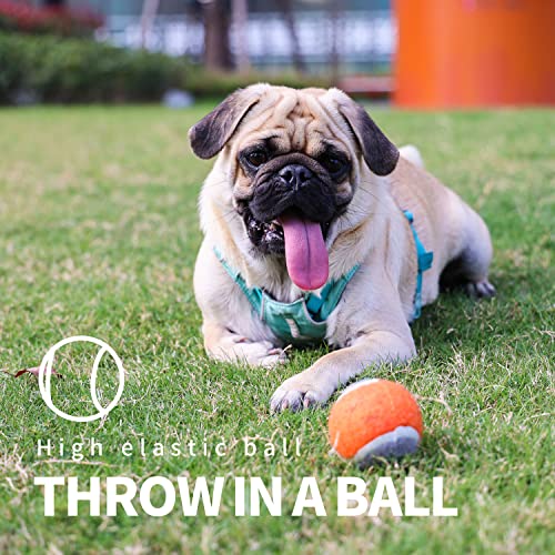 PAWISE Ballwerfer für Hunde, 31,8 cm, mit 5,8 cm Tennis, tragbarer Ballwerfer für kleine bis mittelgroße Hunde, für den Innen- und Außenbereich, langlebig und leicht zu reinigen