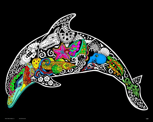 Dolphin - Inner Nature Fuzzy Poster - 16x20 Inches