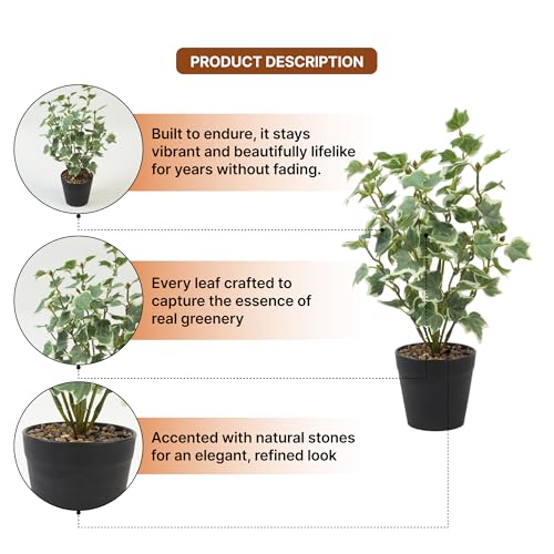 Image of Habere India-All the Cultures Fabricating India Artificial Plant with Pot for Home Decor | Fake Plants for Living Room Decoration | Artificial Plants for Decoration (Design 07; L15 x W14 X H30 cm)