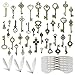 Sweieoni Vintage Schlüssel Deko Antiken Anhänger Set 40 Stück Deko Schlüssel Retro Anhänger mit Libellen Flügel Charm Set Vintage Schlüssel Antik Schlüsseln für DIY, Antikbronze, ca. 1,5-5 cm