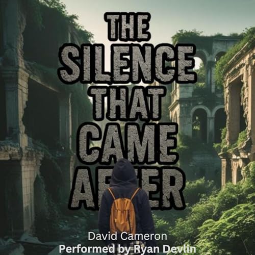 Page de couverture de The Silence That Came After