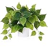 Waipfaru Faux Plants Indoor with Plastic Pots Realistic Small Fake Plants Fake Plants with Pothos Fake Potted Plants Artificial Plant for Home Shelf Bathroom Kitchen Office Indoor Outdoor Decor