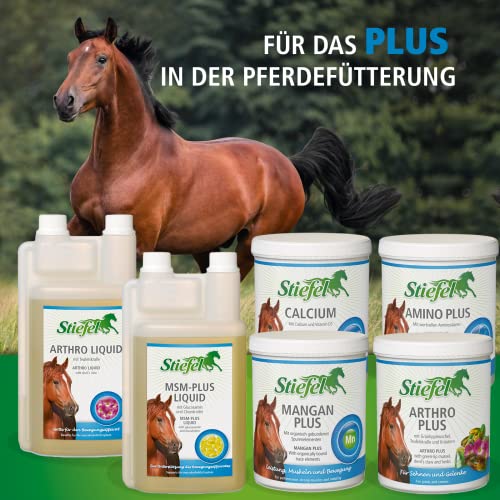 Stiefel Amino Plus für Pferde, hochwertige Unterstützung für den Muskelaufbau & die Leistungsfähigkeit bei Sportpferden