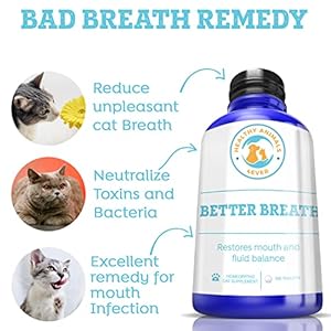Bad-Breath-for-Cats-Pellets-Dissolvable-No-Brushing-for-Clean-Teeth-Plaque-Tartar-Control-All-Natural-Non-GMO-Organic-Preservative-Chemical-Free-300-ct - Cucciolini Doodles   Bad-Breath-for-Cats-Pellets-Dissolvable-No-Brushing-for-Clean-Teeth-Plaque-Tartar-Control-All-Natural-Non-GMO-Organic-Preservative-Chemical-Free-300-ct